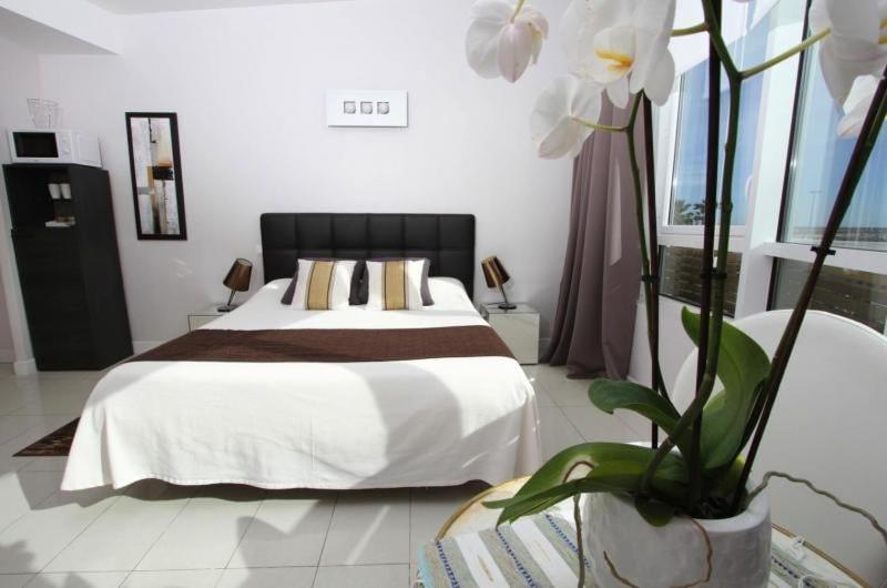 Bleu Duplex & 4*